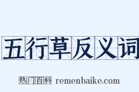 五行草反义词是什么意思的图片